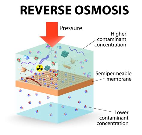 How Hot Water Affects The Mineralization Process In Ro Filters